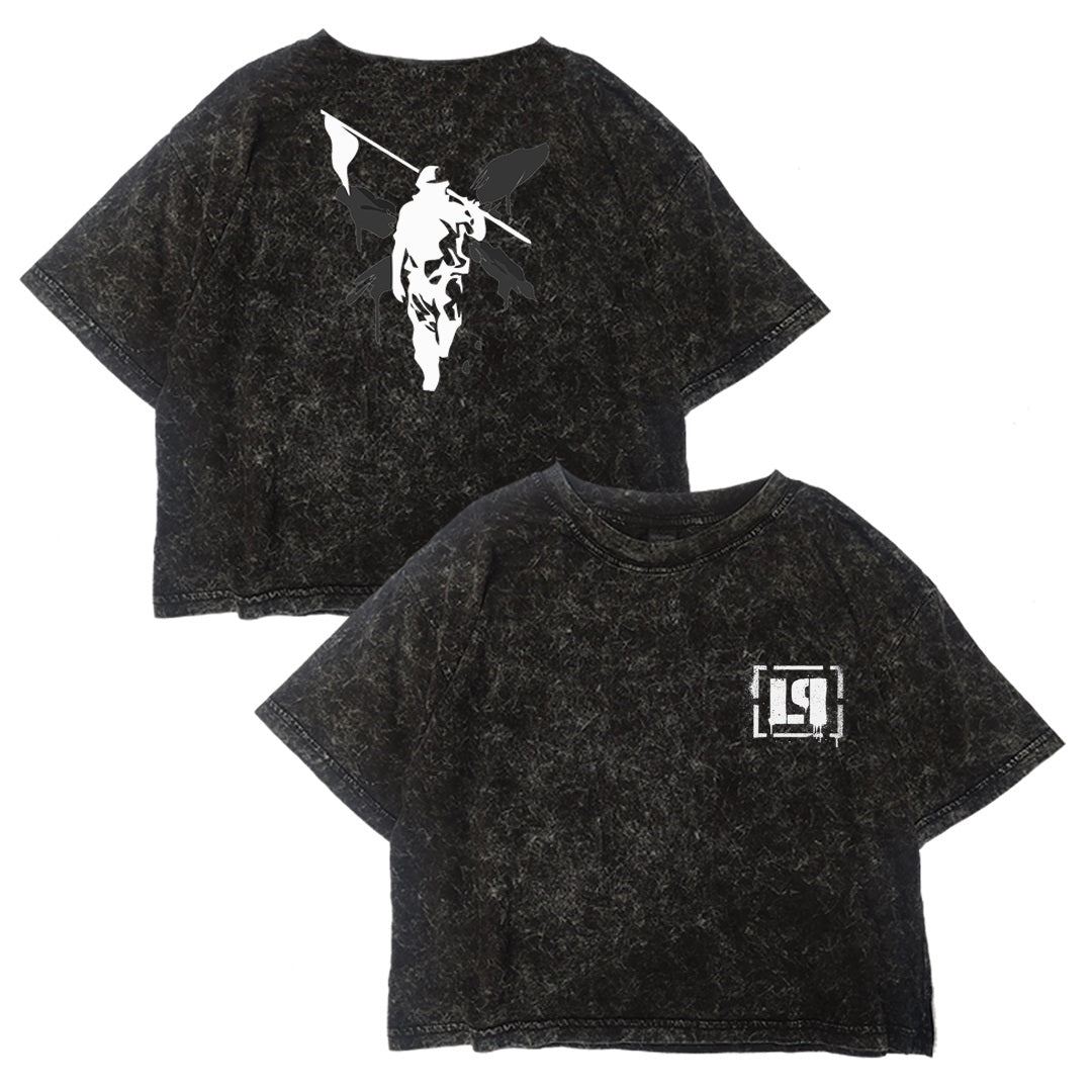 Crop Linkin Park Hybrid Theory