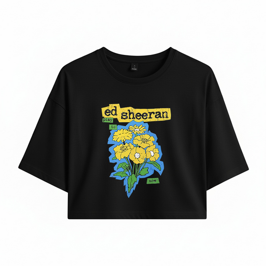 Crop Ed Sheeran Play is Now