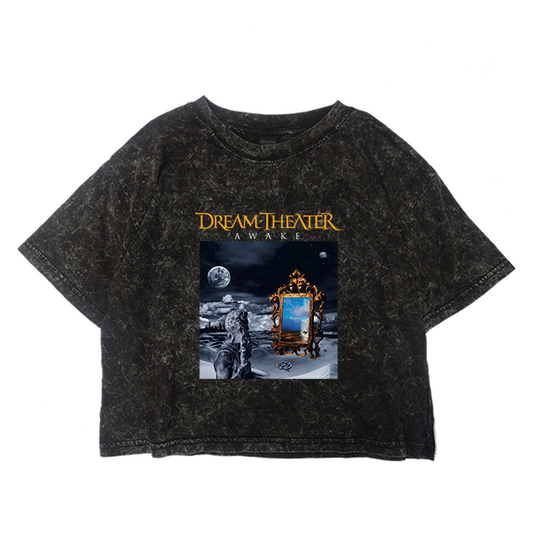 Crop Acid Dream Theater Awake