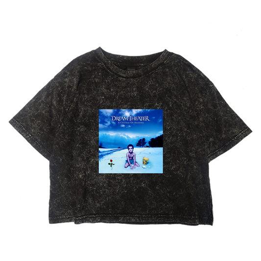 Crop Acid Dream Theater A Change Of Seasons
