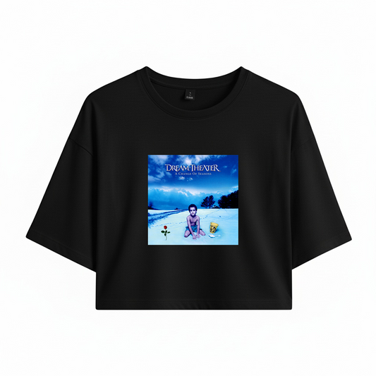 Crop Dream Theater A Change Of Seasons