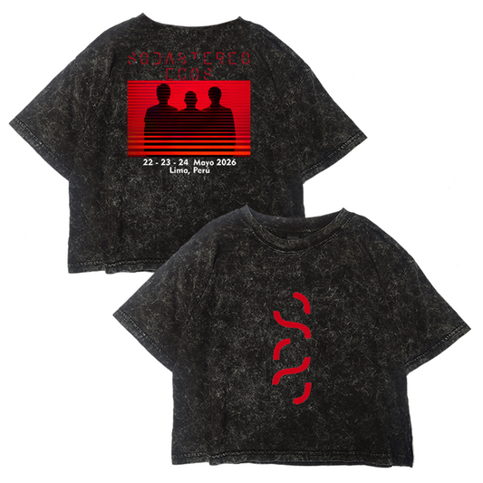 Crop Acid Soda Stereo Tour ECOS 2026