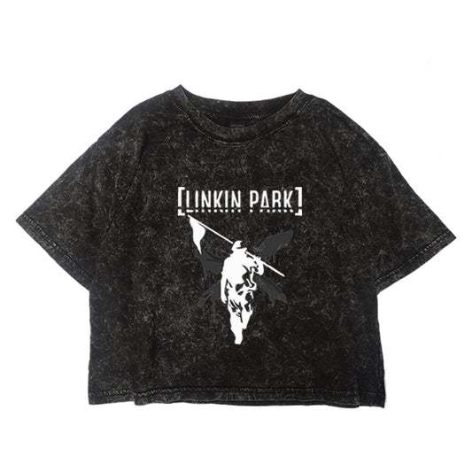 Crop Linkin Park Hybrid Theory