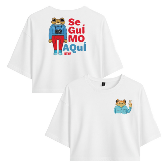 Crop Bad Bunny Seguimo Aquí