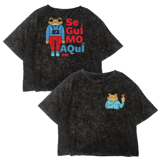 Crop Bad Bunny Seguimo Aquí